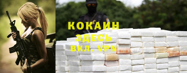 прущие крисы Алзамай