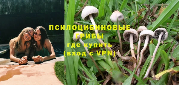 PSILOCYBIN Аркадак